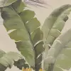 Banana Tree Jungle, Beige