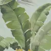 Banana Tree Jungle, Light Blue