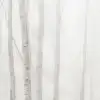 Birch Fog, White
