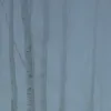 Birch Fog, Blue