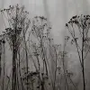 Autumn Haze, Black & White
