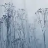 Autumn Haze, Blue