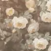 Regal Rose, Vintage