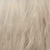 Rye Field, Beige