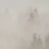 Cloudy Forest, Beige