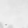 Scandinavian Landscape, Black & White