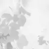 Hazy Leaves, White