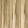 Behind the Curtains, Beige