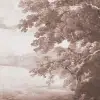 Vintage Tree, Rust