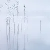Calm Lake