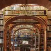 Vintage Library