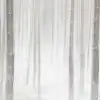 Winter Forest
