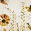 Midsummer Meadow