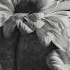 Graphic Flowers
