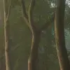 Secret Road