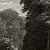 Spring Season, Vintage