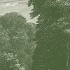 Spring Season, Green