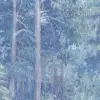 Green Wood, Mist