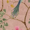 Songbirds, Pink