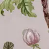 Petit Flora, Soft Pink