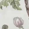 Petit Flora, Pearl