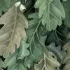 No Time to Waste, Green