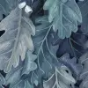 No Time to Waste, Blue
