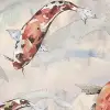 Koi, Coral