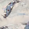 Koi, Blue