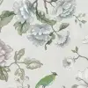 Grandiflora, Pearl