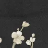 Japanese Vases Graphite