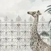 Jaipur Animals