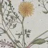 Storm Flowers, Seaweed	