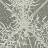 Seaweed & Stars, Green	