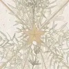 Seaweed & Stars, Sand	