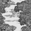Bellewood Under The Clouds, Graphite