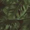 I See You, Emerald