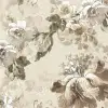 Roses, Beige