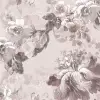 Roses, Pink