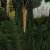 Hiding Spot, Evening