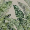 Jungle Pearl, Beige