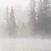 Frosty Lake