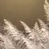 Winter Straw