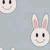 Year of the rabbit smiley, Light Blue