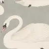 Whooper Swan, Soft Blue