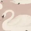 Whooper Swan, Soft Pink