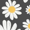 Dashing Daisies, Midnight