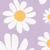 Dashing Daisies, Lilac