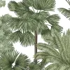 Tropical Bellewood, Lush