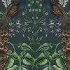 Peacock Garden, Black
